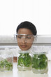 Lab Worker Examining Jars of Herbs