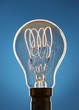 Transparent light bulb against blue background in studio