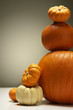 Variety of Pumpkins