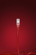 Data Cable Plug