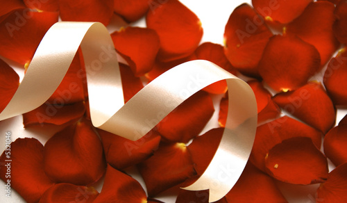 Photo: Ribbon Ribbon
