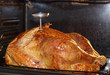 thanksgiving turkey
