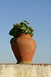 Vase Vase