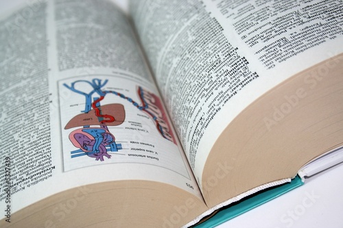 Medizinisches Lexikon