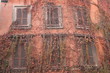 despues de ti....la pared