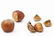 Hazelnut isolated