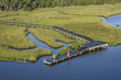 Foto: Aerial of boys on dock. Aerial of boys on dock.