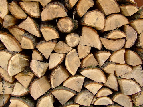 Photo: wood wood