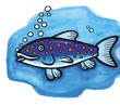 Blue wrasse with orange spots swimming
