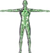 Grün-Metallic-Mann