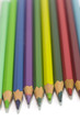 colorful pencils on white background in vertical position colorful pencils on white background in vertical position