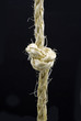 knotted rope, isolated