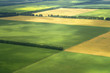 cultivation farm argiculture fields landscape with green blocks