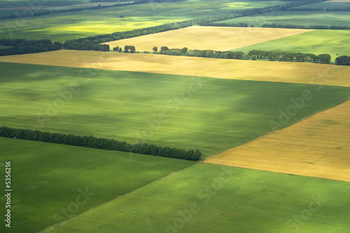 Foto: cultivation farm argiculture fields landscape with green blocks cultivation farm argiculture fields landscape with green blocks