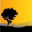 coucher de soleil