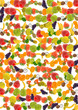 fruit background fruit background