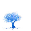 winter tree