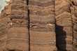 Capitol Reef National Park