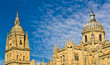 Salamanca cathedral Salamanca cathedral