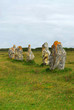 Megalithic monuments in Brittany Megalithic monuments in Brittany