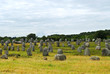 Megalithic monuments in Brittany Megalithic monuments in Brittany