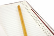 notebook alphabet record