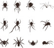 spider siluet spider siluet