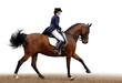 Foto: dressage dressage