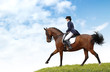Foto: dressage dressage