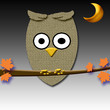 lonely little owl