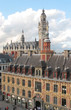 lille 28 lille 28
