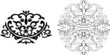 Floral Curves Ornament. Traditional And Calligraphy Styles