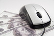 Mouse on hundred dollar bills