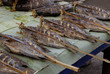 Grilled fish lying on a table with wooden sticks in the fish