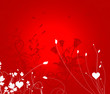 Valentine roses