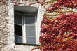 A tarves de la ventana
