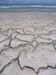canarie fuerteventura 4
