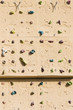 mur d'escalade