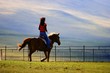 Photo en ligne au meilleur prix An Asian girl riding a horse returning home.
