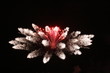 Firework 2