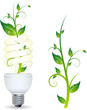 Ampoule avec plante qui pousse, image vectorielle