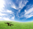 Skydiver