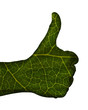 MAIN VERTE POUCE LEVE