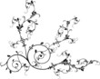 Ornamentos