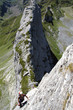 verticalité
