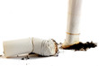 Cigarette butt on white background