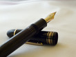 Pluma 3