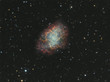 The Crab Nebula
