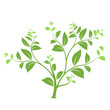 vecteur arbre stylisé symbole de vie