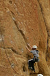 Climber on sheer rock face,..Smith Rock State Park,  